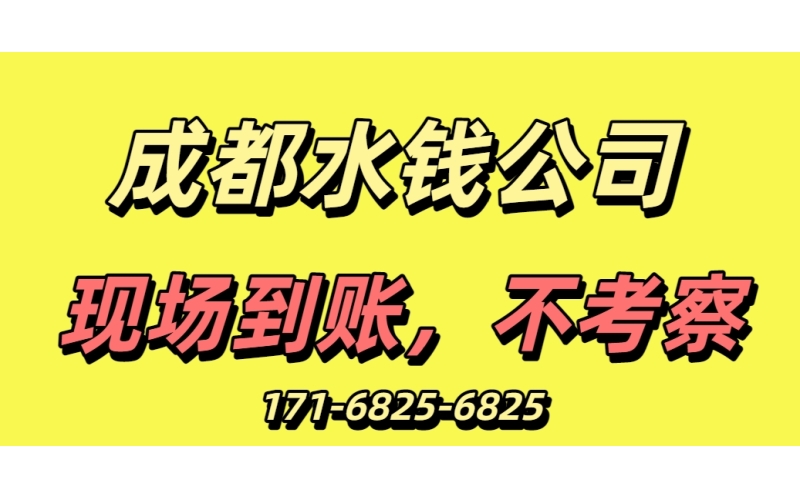 成都水钱公司
